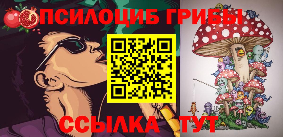 Галлюциногенные грибы GOLDEN TEACHER  купить  цена  Баксан  Вход с VPN 